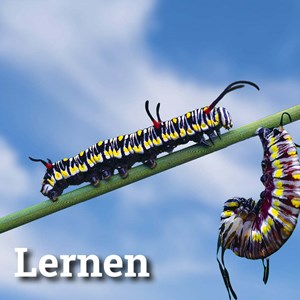 Künstliche Intelligenz,  Skill Development  und informelles Lernen Künstliche Intelligenz,  Skill Development  und informelles Lernen