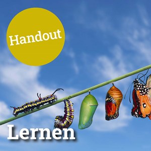 Lernen Lernen