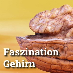 «Ein Gehirn ist wie ein Cello … «Ein Gehirn ist wie ein Cello …