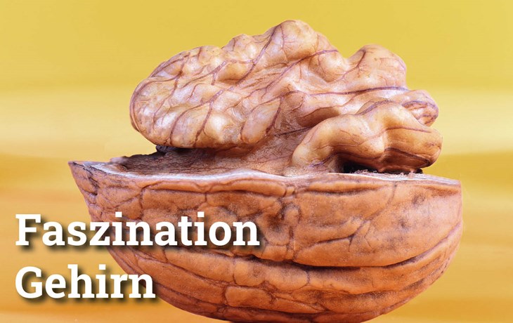 Storytelling fürs Hirn Penso