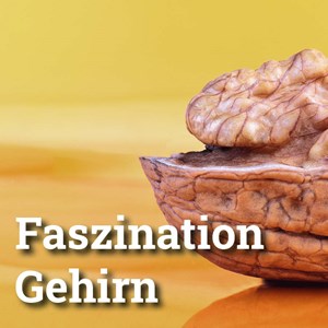 Gedächtnisverlust - Was tun?