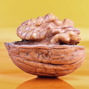 Raconter l'histoire pour le cerveau Raconter l'histoire pour le cerveau