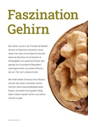 Faszination Gehirn