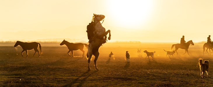 Kolumne: Mit Geschick und Balance - Was Reitsport und der Stiftungsrat gemeinsam haben Kolumne: Mit Geschick und Balance - Was Reitsport und der Stiftungsrat gemeinsam haben