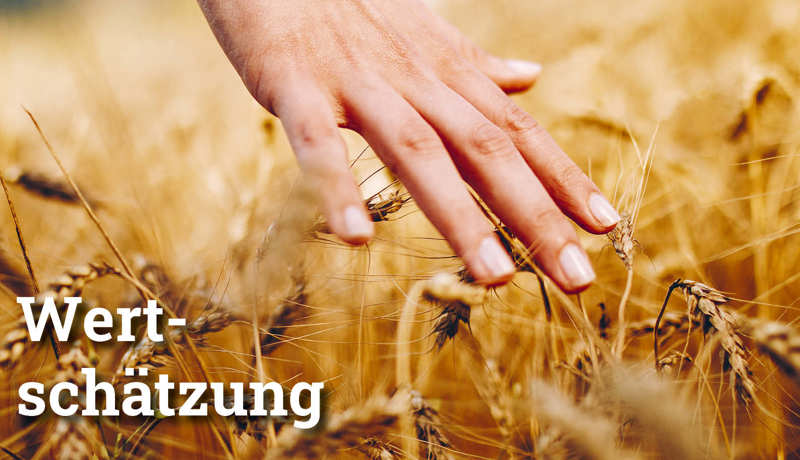 Fokus Wertschätzung4