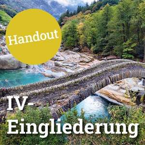 IV-Eingliederung IV-Eingliederung