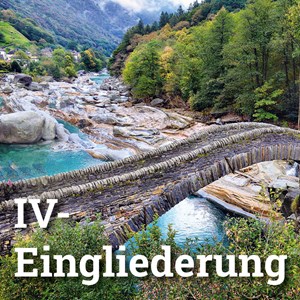 Berufliche Eingliederung: Was macht die IV? Berufliche Eingliederung: Was macht die IV?