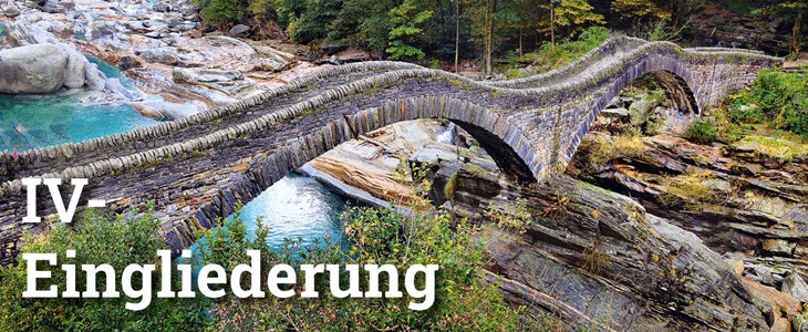 Fokus: IV-Eingliederung Fokus: IV-Eingliederung