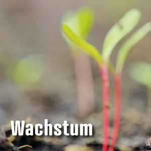 HR – eine administrative oder eine strategische Funktion? HR – eine administrative oder eine strategische Funktion?