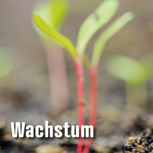 Wachstum als HR-Projekt Wachstum als HR-Projekt