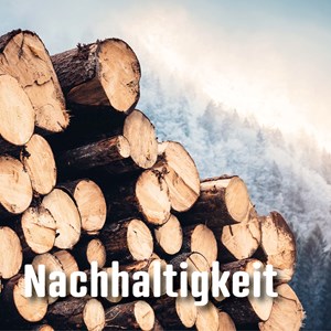 Stehen Rendite und Nachhaltigkeit im Widerspruch? Stehen Rendite und Nachhaltigkeit im Widerspruch?