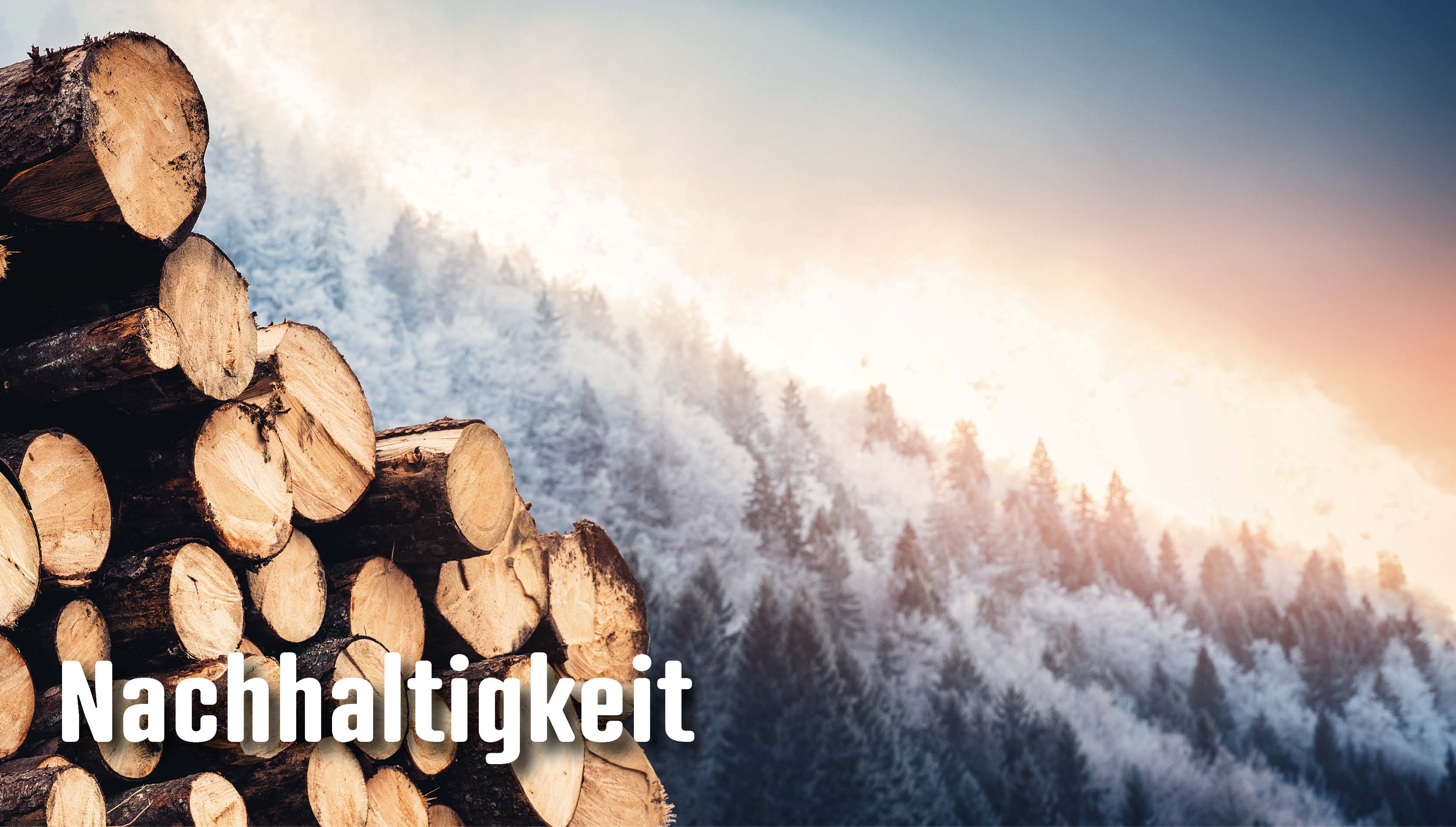 Mit Ausdauer und Hartnäckigkeit