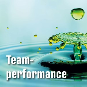 Mit Diagnostik zur Teamresilienz Mit Diagnostik zur Teamresilienz