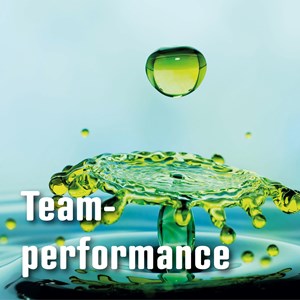 Wer ist Team? Wer ist Team?