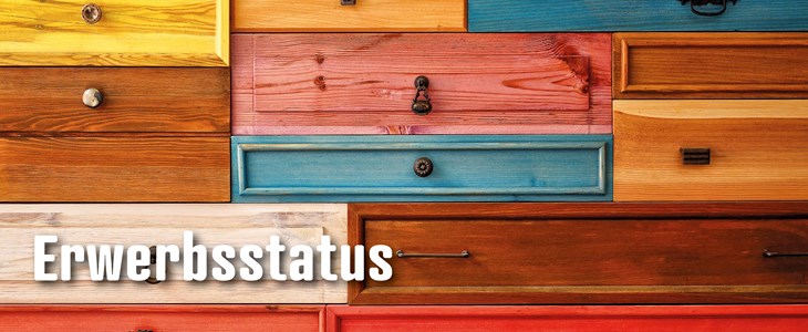 Erwerbsstatus Erwerbsstatus