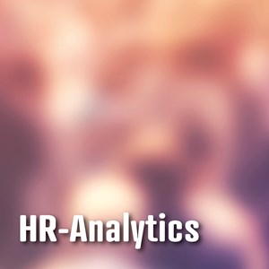 Schutz von Mitarbeiterdaten im Kontext von People-Analytics & KI Schutz von Mitarbeiterdaten im Kontext von People-Analytics & KI