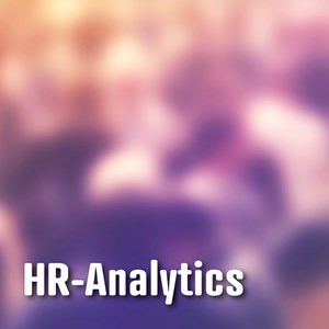 Der Verein Swiss HR Analytics Der Verein Swiss HR Analytics