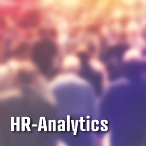 Einstieg in HR-Analytics Einstieg in HR-Analytics