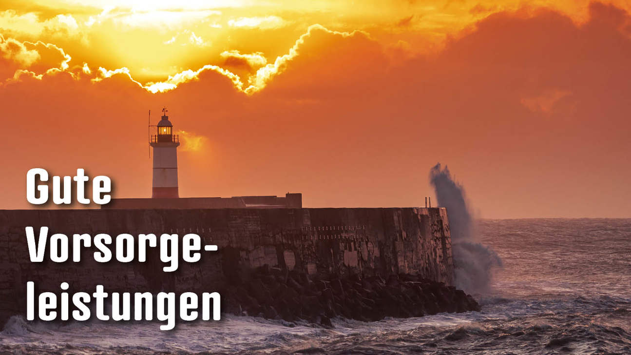 Dossier Gutevorsorgeleistungen3
