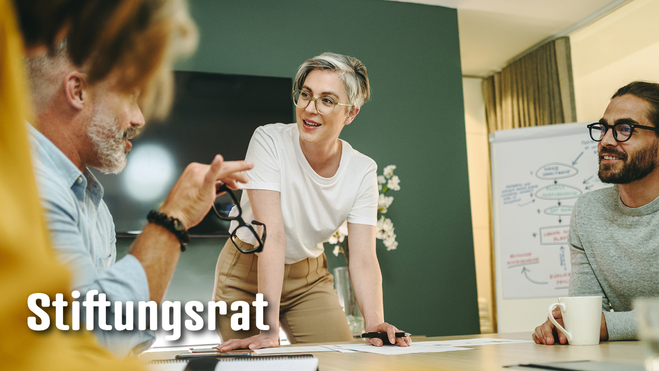 Dossier Stiftungsrat3