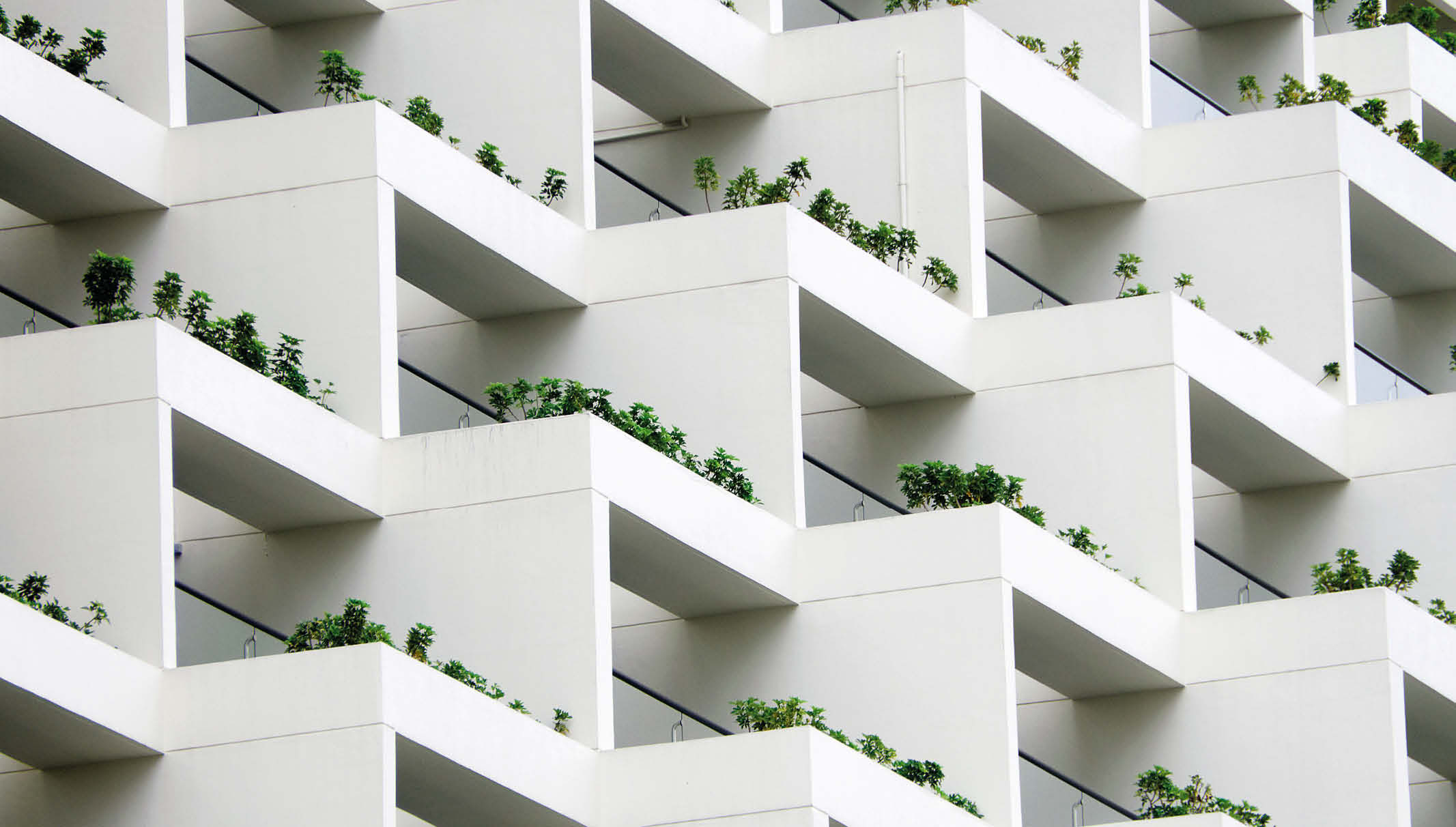 Lernende Organisation