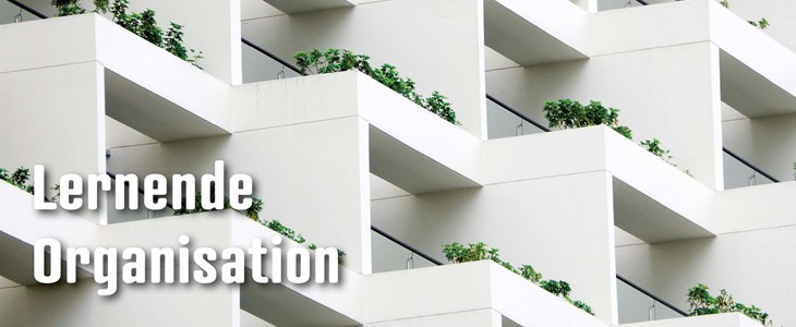 Dossier: Lernende Organisation Dossier: Lernende Organisation
