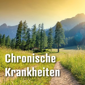 Auswirkungen auf die Sozialversicherungen Auswirkungen auf die Sozialversicherungen
