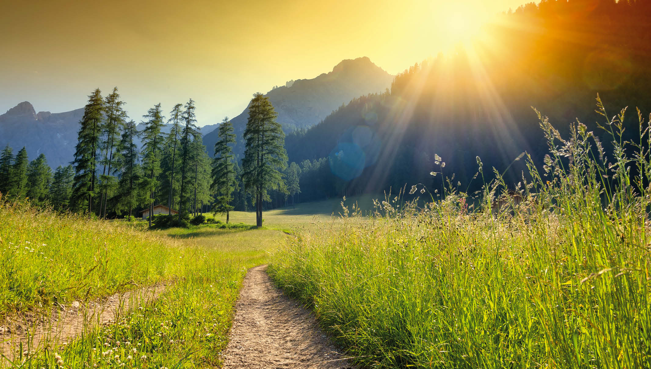 Chronische Krankheiten