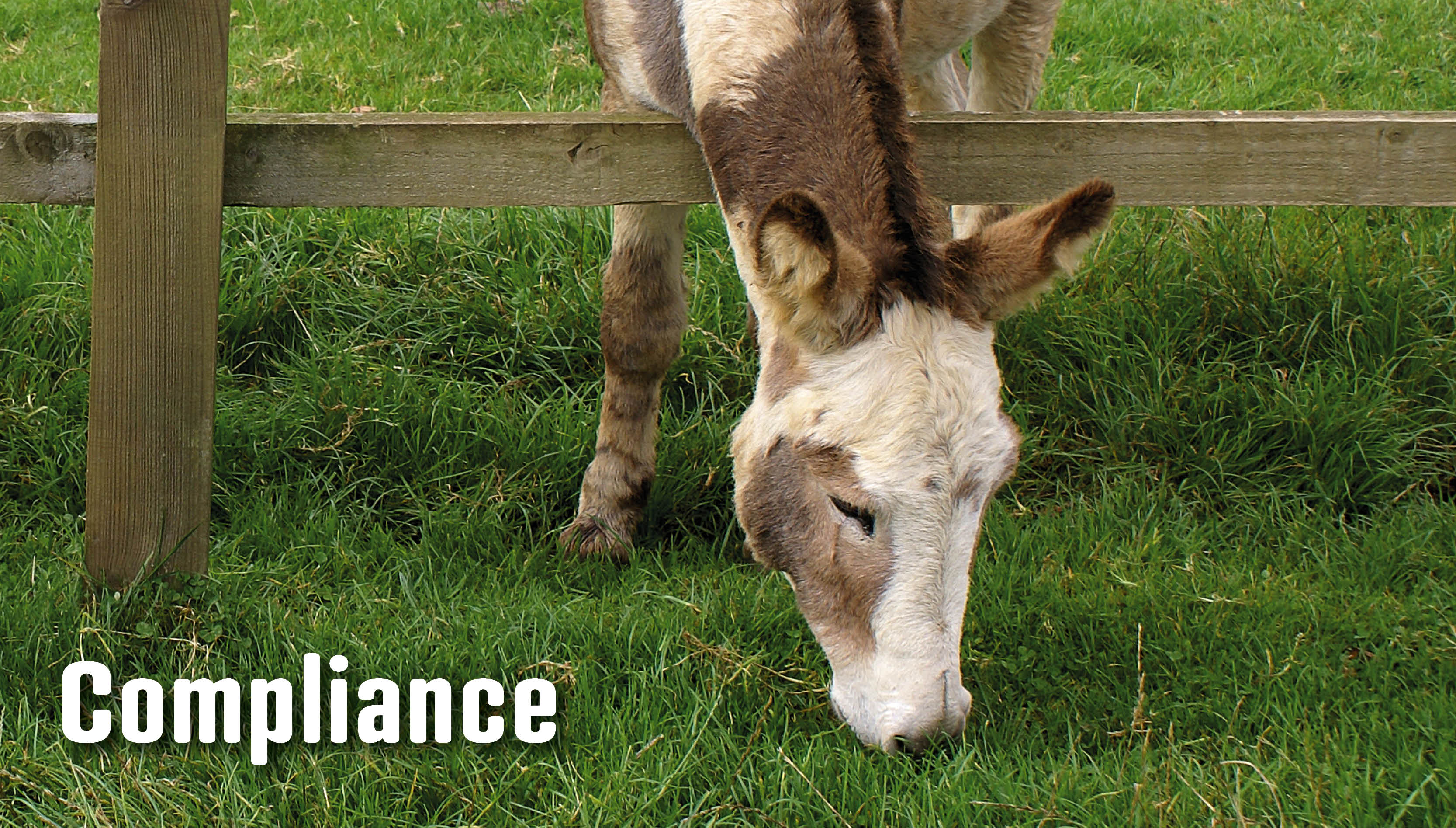 Wer Verantwortung trägt, muss handeln