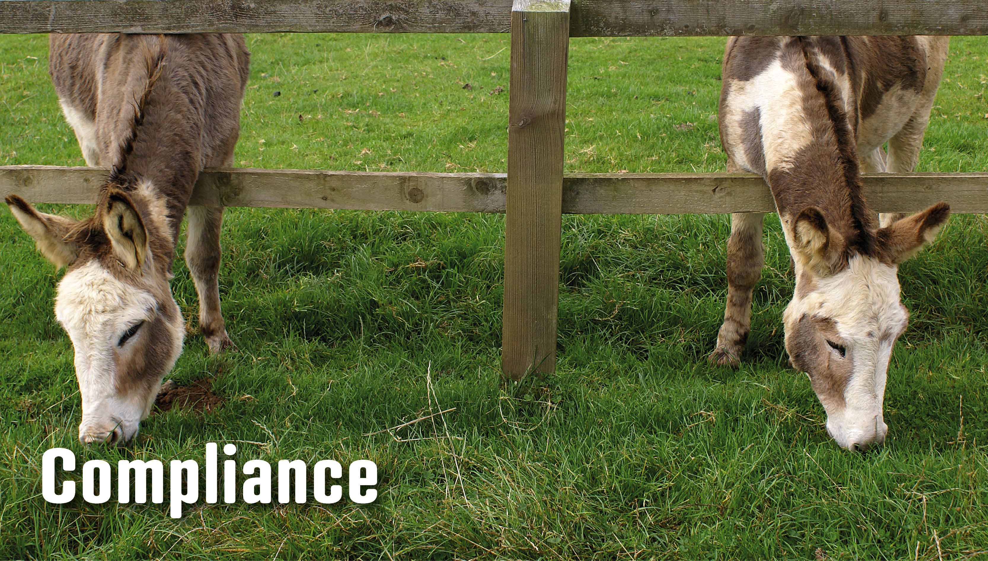 Zwischen Recht, Führung und Menschlichkeit