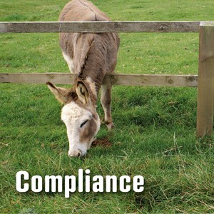 Erfolgsfaktor Compliance für KMU Erfolgsfaktor Compliance für KMU