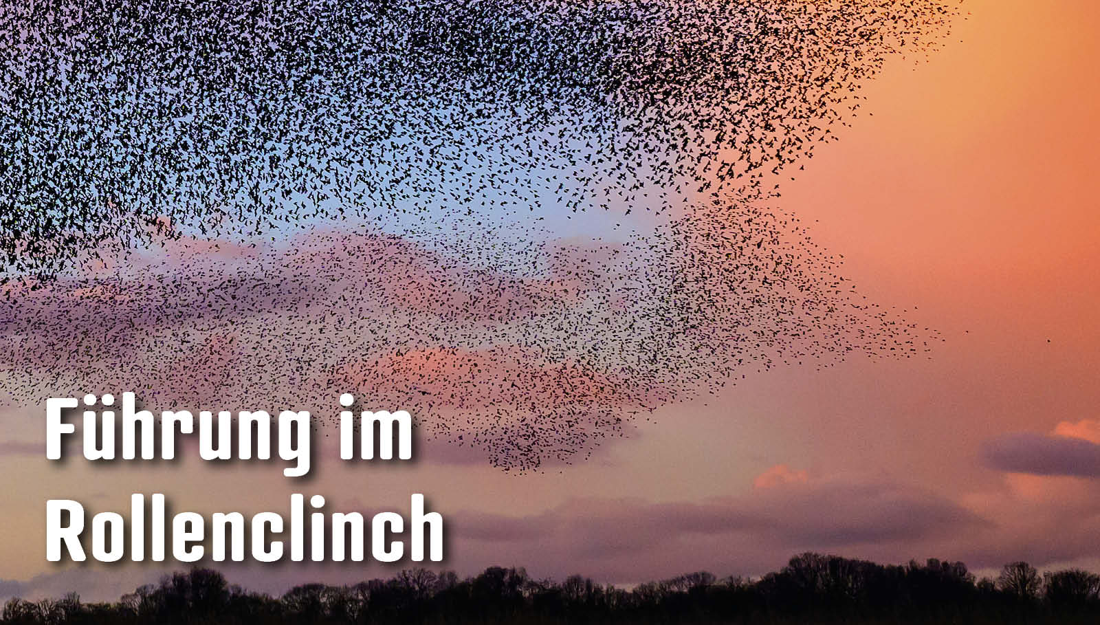 «Führung wird heute oft mit Nettigkeit verwechselt»