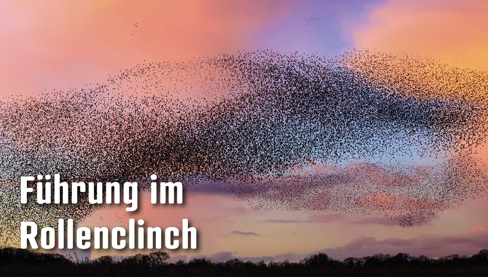 «Führung neu denken heisst, Verantwortung gemeinsam zu tragen»