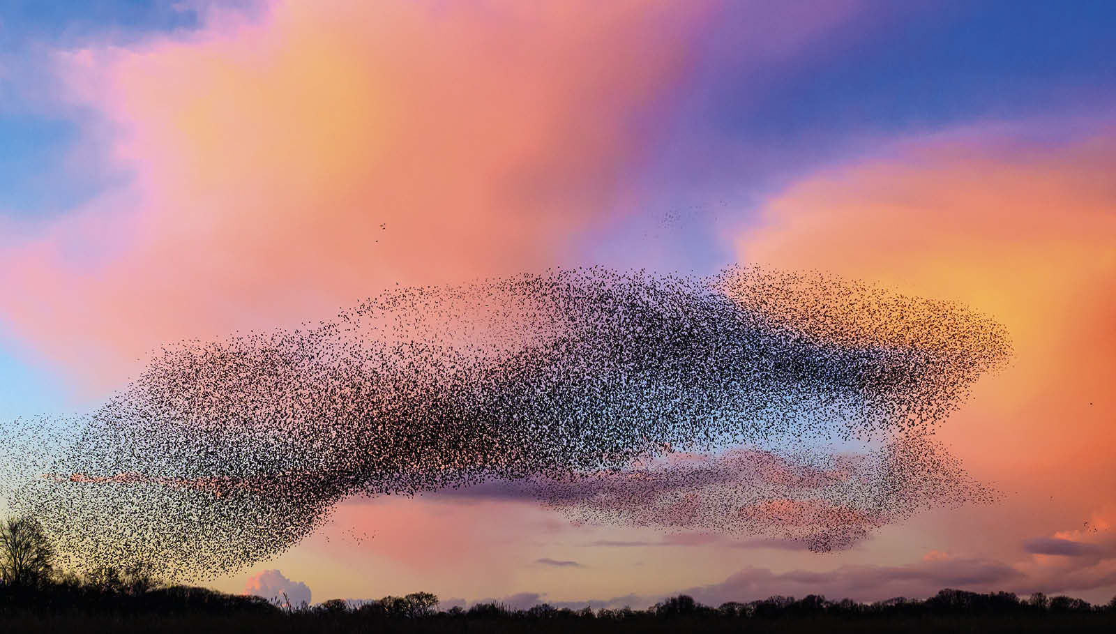 Führung im Rollenclinch