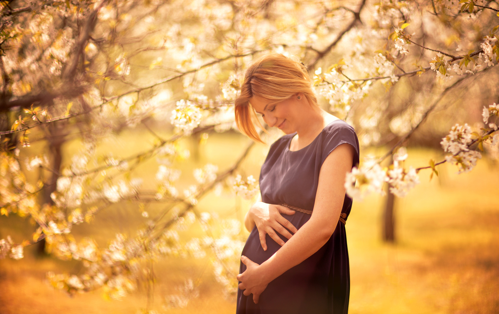 Parlament will erwerbslose Schwangere finanziell besser absichern