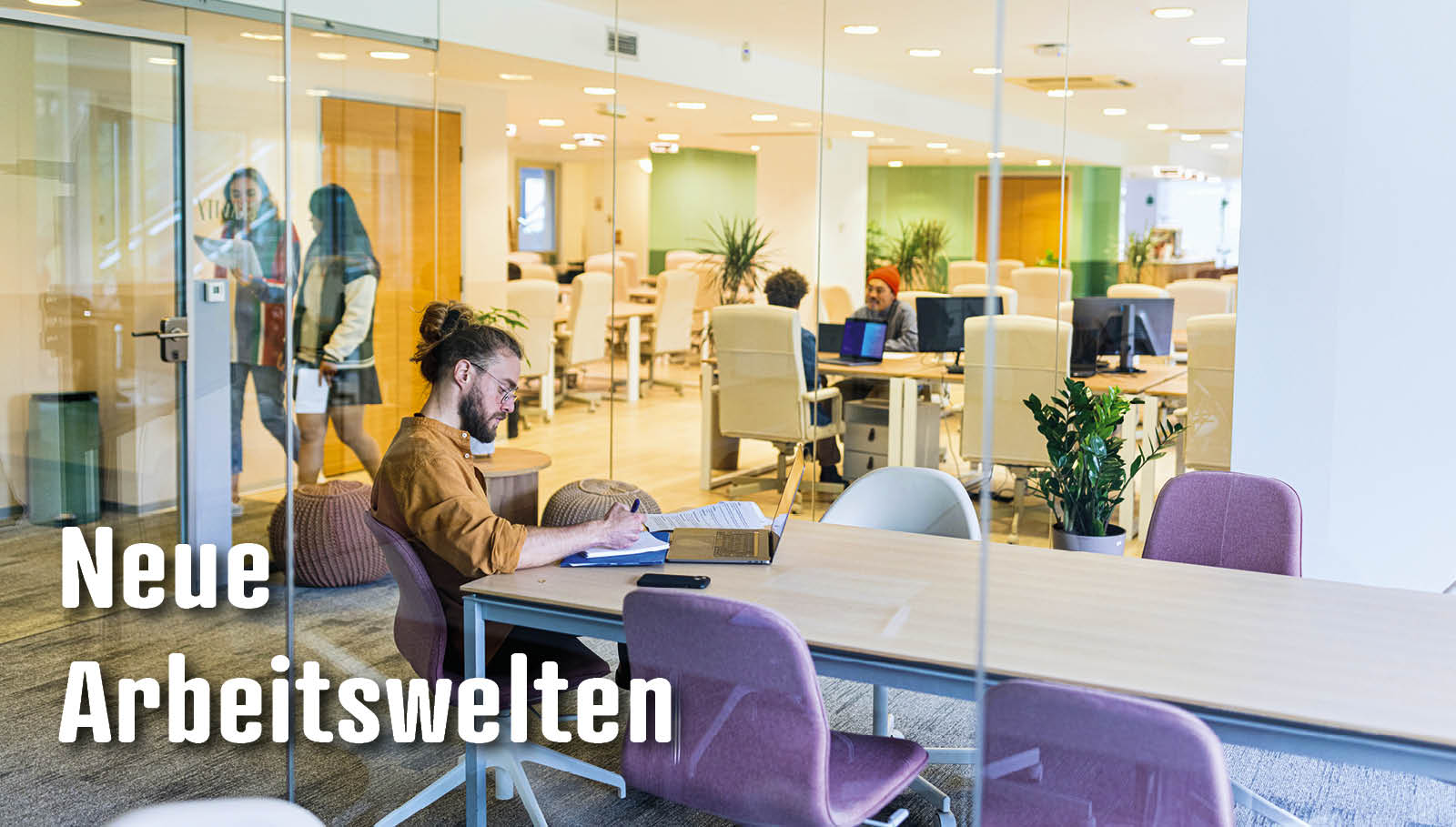 «Soziale Kohäsion ist der klare Gewinner»