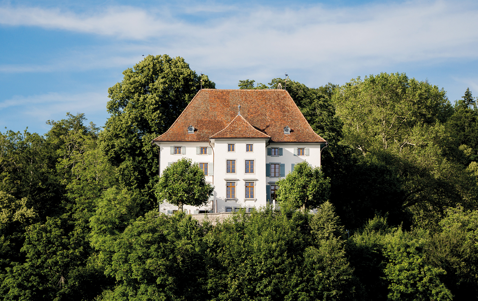 Aus dem Dornröschenschlaf erwacht