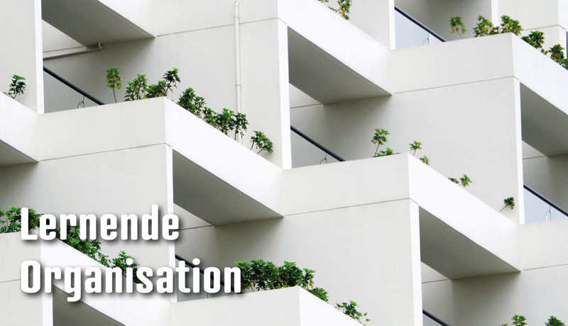 Dossier Lernendeorganisation4