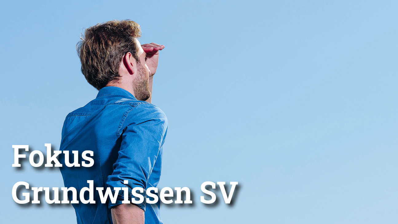 Fokus Grundwissensv4