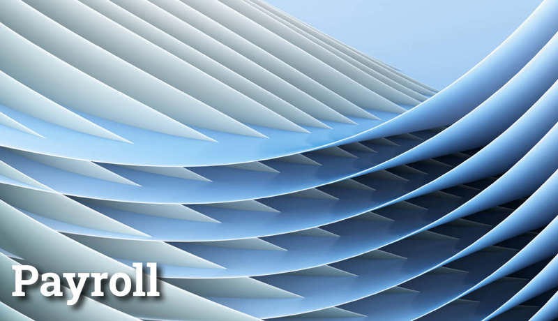 Fokus Payroll3