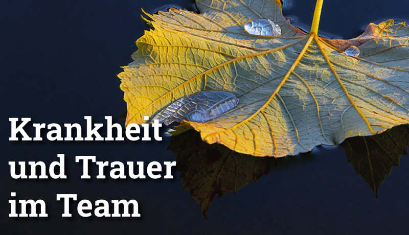 Fokus Krankheittrauer2