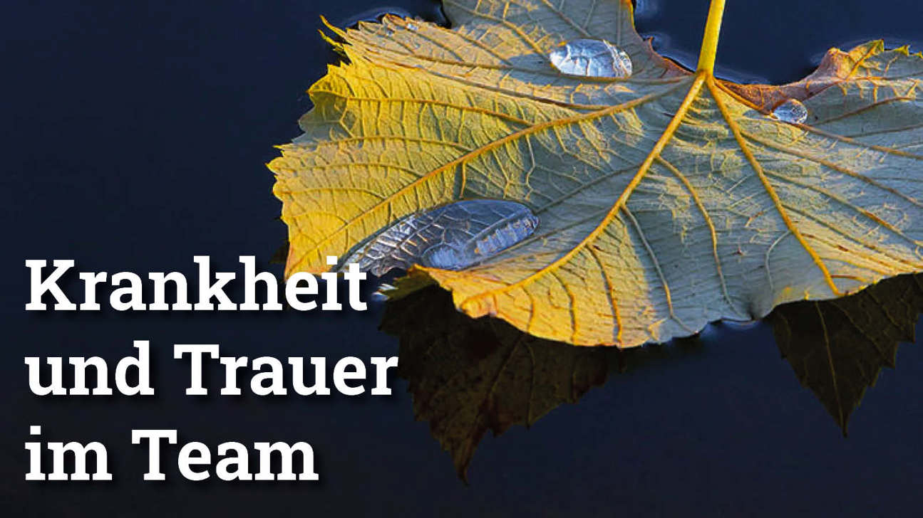 Fokus Krankheittrauer2