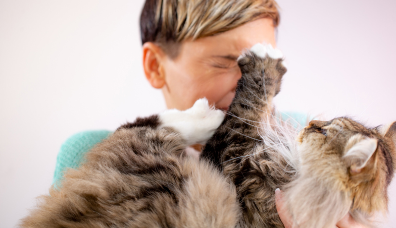 Katze Kratzt Mensch Istock 1139569354