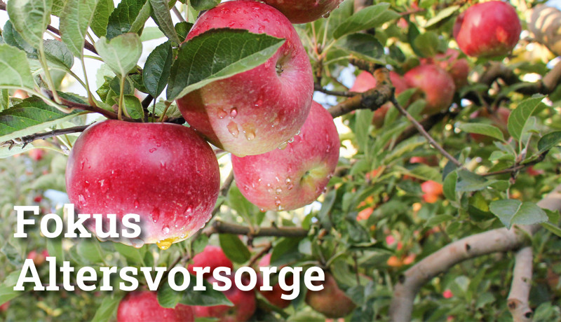Fokus Altersvorsorge4