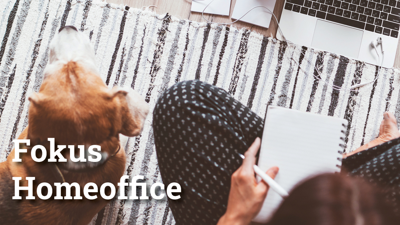 Fokus Homeoffice3