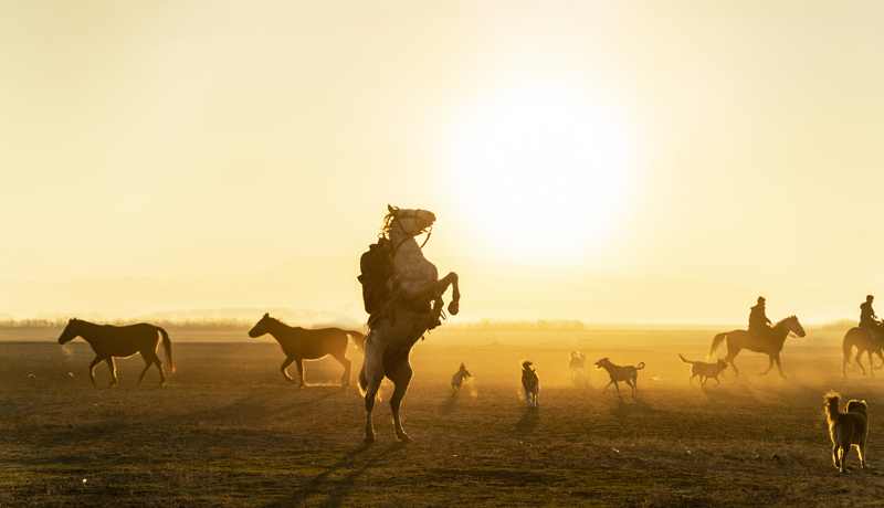 Pferd Reiten Balance Sonnenuntergang Istock 1362213182 Web