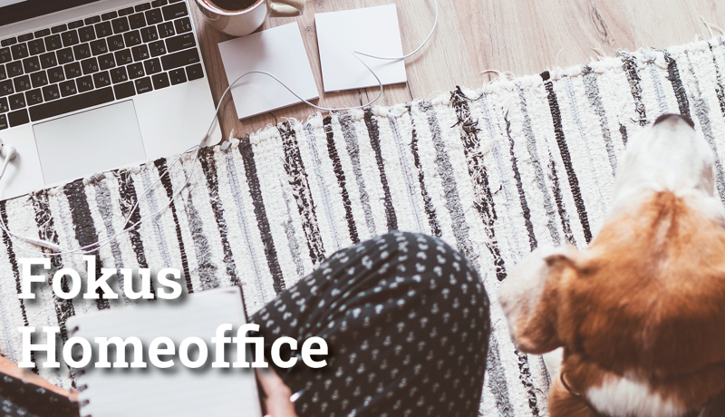 Fokus Homeoffice7