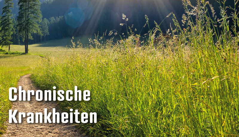 Dossier Chronischekrankheiten5