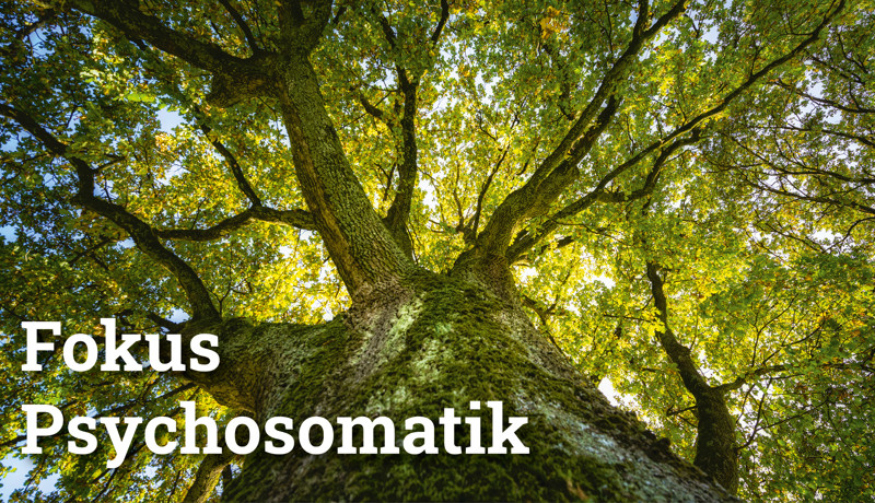 Fokus Psychosomatik2