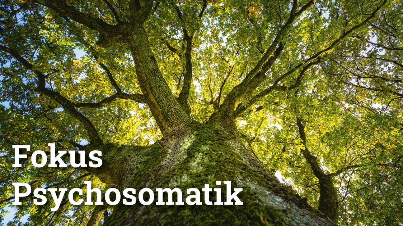 Fokus Psychosomatik2